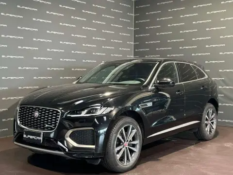 Used JAGUAR F-PACE Hybrid 2023 Ad 