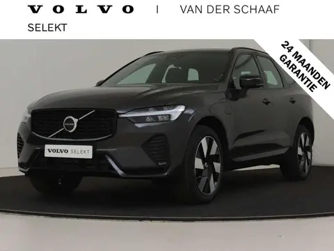 Annonce VOLVO XC60 Hybride 2023 d'occasion 