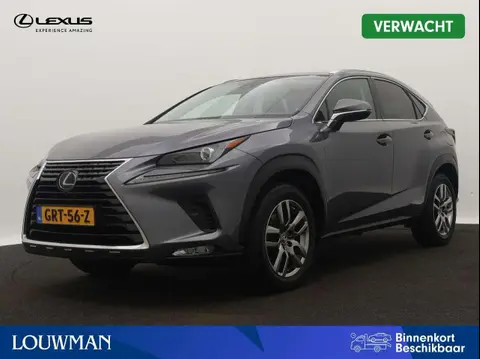 Used LEXUS NX Hybrid 2019 Ad 