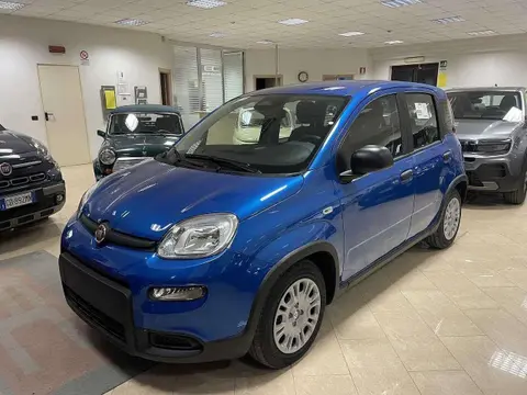 Used FIAT PANDA Electric 2024 Ad 