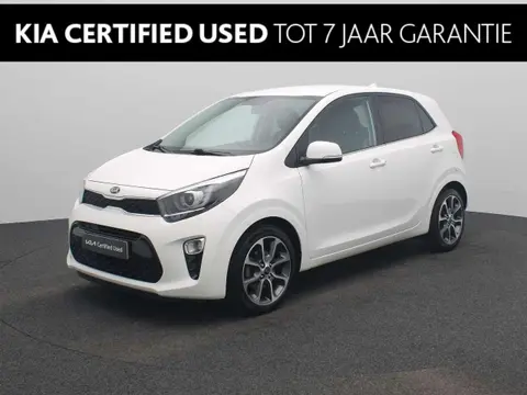 Used KIA PICANTO Petrol 2019 Ad 