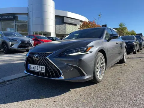 Used LEXUS ES Hybrid 2023 Ad 