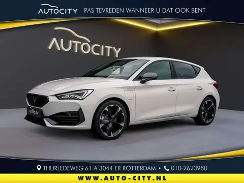 Used CUPRA LEON Hybrid 2023 Ad 