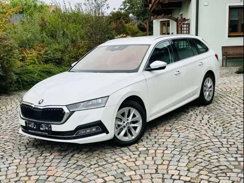 Annonce SKODA OCTAVIA Essence 2023 d'occasion 