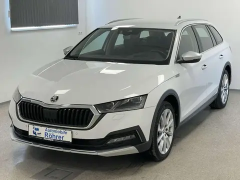 Annonce SKODA OCTAVIA Diesel 2021 d'occasion 