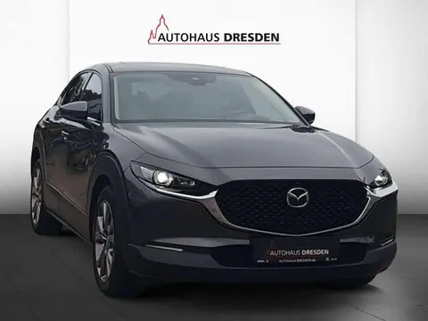 Annonce MAZDA CX-30 Essence 2019 d'occasion 