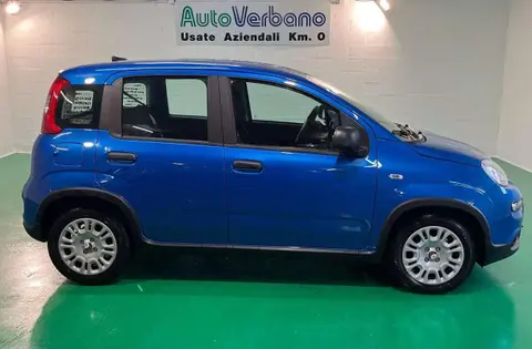 Used FIAT PANDA Hybrid 2024 Ad 