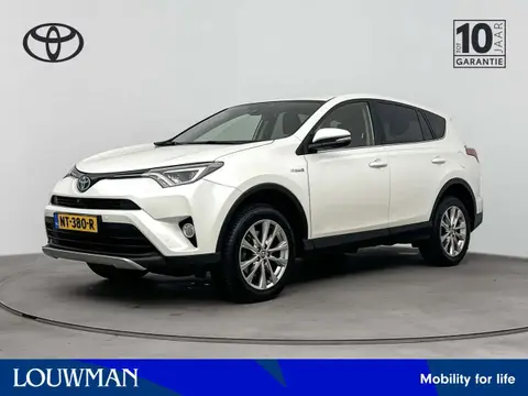 Annonce TOYOTA RAV4 Hybride 2017 d'occasion 