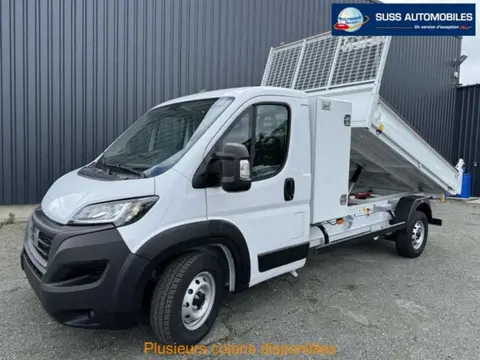 Annonce FIAT DUCATO Diesel 2023 d'occasion 