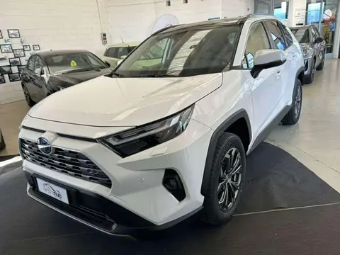 Used TOYOTA RAV4 Hybrid 2024 Ad 