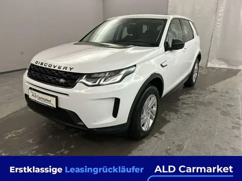 Used LAND ROVER DISCOVERY Diesel 2020 Ad 