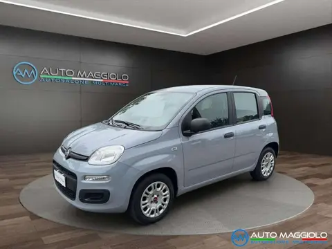 Annonce FIAT PANDA Essence 2020 d'occasion 