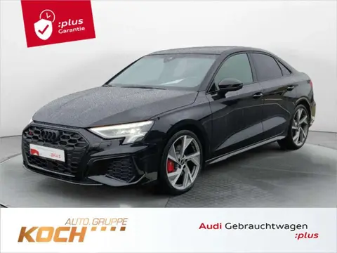 Annonce AUDI S3 Essence 2024 d'occasion 