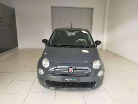 Used FIAT 500 Hybrid 2021 Ad 