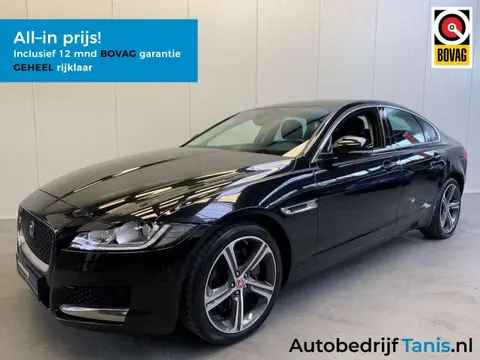 Used JAGUAR XF Petrol 2019 Ad 