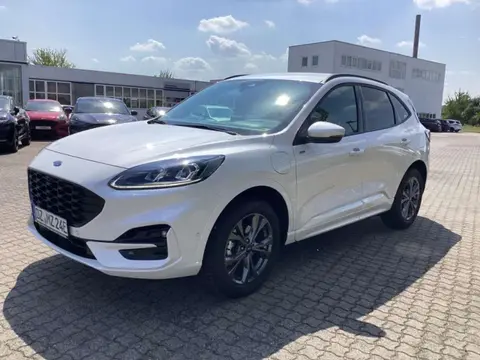 Annonce FORD KUGA Hybride 2023 d'occasion Allemagne