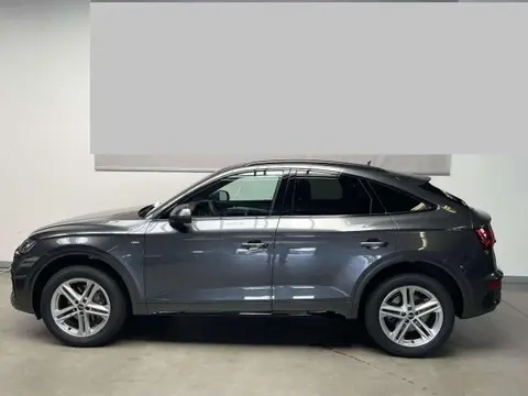 Used AUDI Q5 Hybrid 2023 Ad 