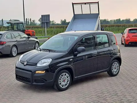 Used FIAT PANDA Hybrid 2023 Ad 