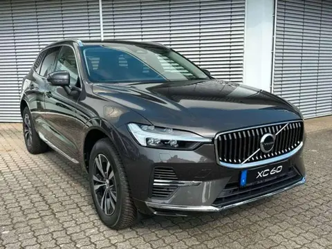 Annonce VOLVO XC60 Hybride 2023 d'occasion 