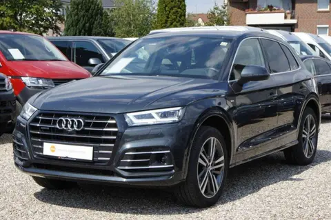 Used AUDI Q5 Hybrid 2021 Ad 