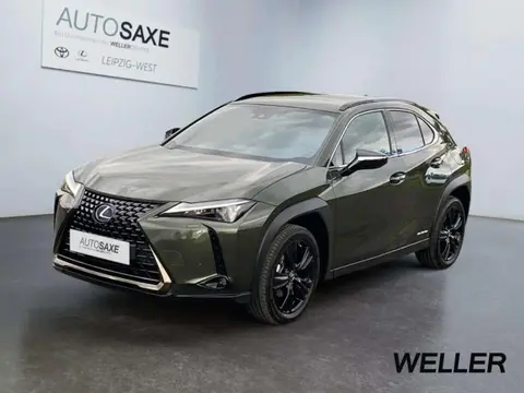 Annonce LEXUS UX Hybride 2023 d'occasion 