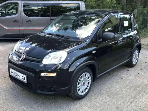 Used FIAT PANDA Petrol 2024 Ad 