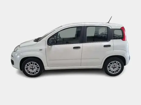 Used FIAT PANDA Petrol 2020 Ad 