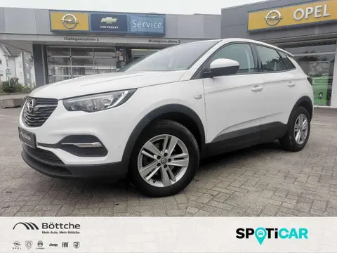 Used OPEL GRANDLAND Petrol 2017 Ad 