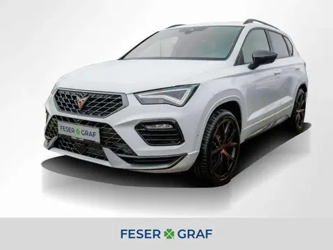 Annonce CUPRA ATECA Essence 2024 d'occasion 