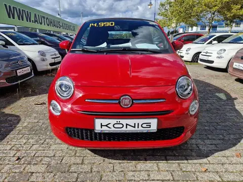 Used FIAT 500 Petrol 2023 Ad 