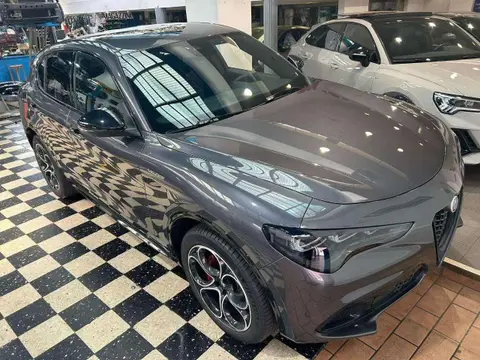 Used ALFA ROMEO STELVIO Diesel 2024 Ad 