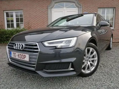 Used AUDI A4 Petrol 2019 Ad 