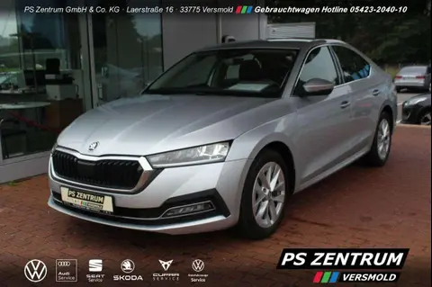 Used SKODA OCTAVIA Diesel 2021 Ad 