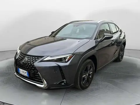 Annonce LEXUS UX Hybride 2023 d'occasion 