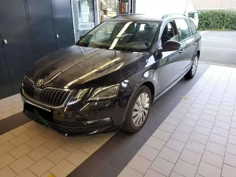 Used SKODA OCTAVIA Diesel 2019 Ad 