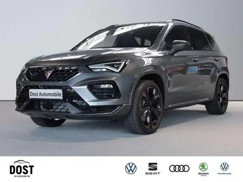 Annonce CUPRA ATECA Essence 2024 d'occasion 