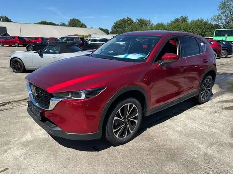 Used MAZDA CX-5 Hybrid 2024 Ad 