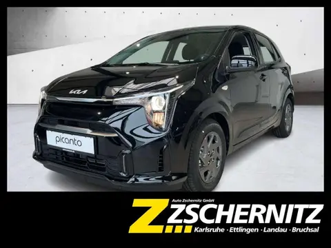 Used KIA PICANTO Petrol 2024 Ad 