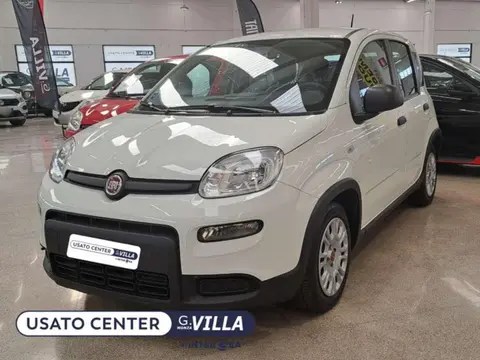 Used FIAT PANDA Hybrid 2022 Ad 