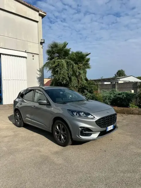 Annonce FORD KUGA Hybride 2022 d'occasion 