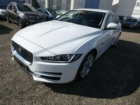 Used JAGUAR XE Diesel 2016 Ad 