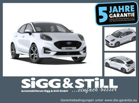 Used FORD PUMA Petrol 2024 Ad 