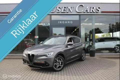 Used ALFA ROMEO STELVIO Petrol 2019 Ad 