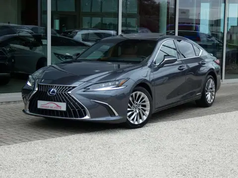 Annonce LEXUS ES Hybride 2022 d'occasion 