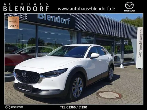 Used MAZDA CX-30 Petrol 2021 Ad 