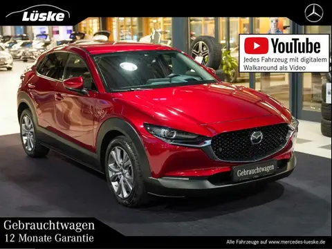 Annonce MAZDA CX-30 Essence 2019 d'occasion 