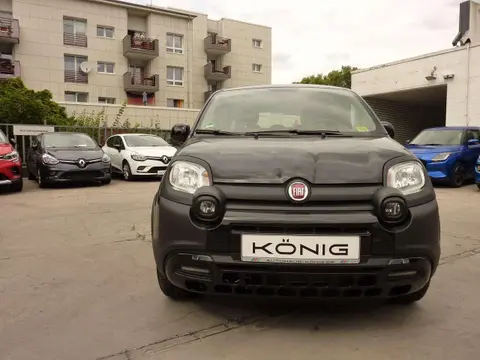 Annonce FIAT PANDA Hybride 2023 d'occasion 