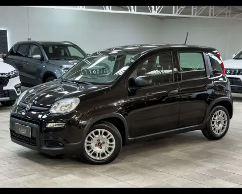 Used FIAT PANDA Hybrid 2023 Ad 