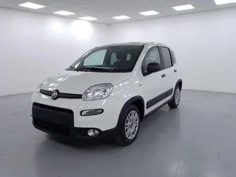 Used FIAT PANDA Hybrid 2022 Ad 