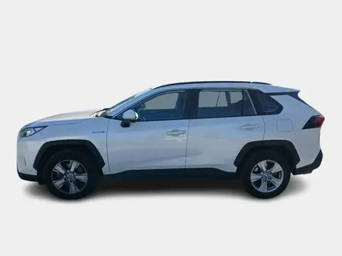 Used TOYOTA RAV4 Hybrid 2021 Ad 